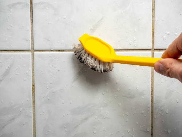 Best Affordable Mold Removal  in Center Point, AL