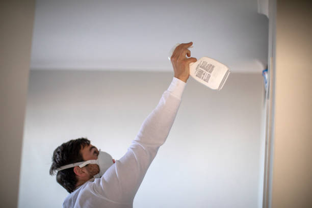 Best Certified Mold Removal  in Center Point, AL