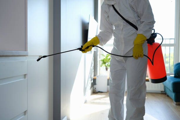 Crawl Space Mold Removal in Center Point, AL