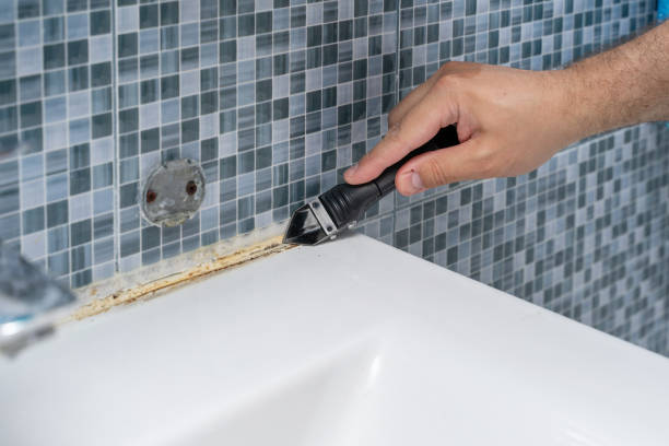 Best Home Mold Removal  in Center Point, AL